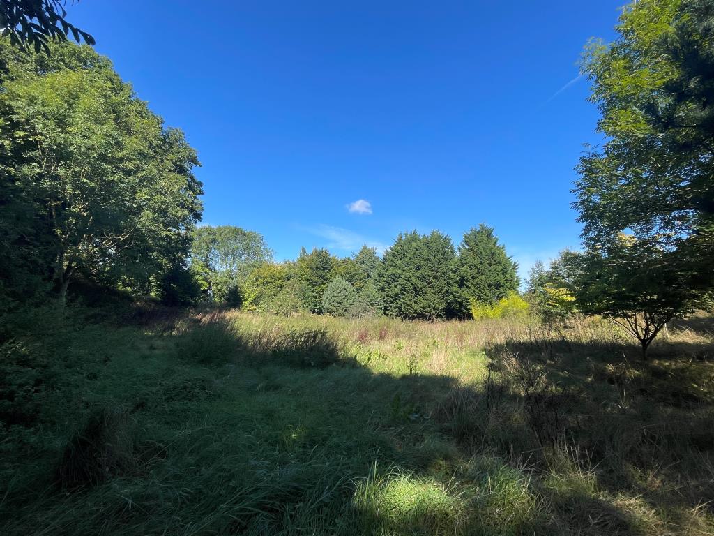 Lot: 116 - FREEHOLD LAND WITH POTENTIAL - Parcel of land to front of site